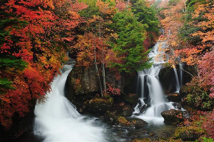 f0222161_12562949.jpg