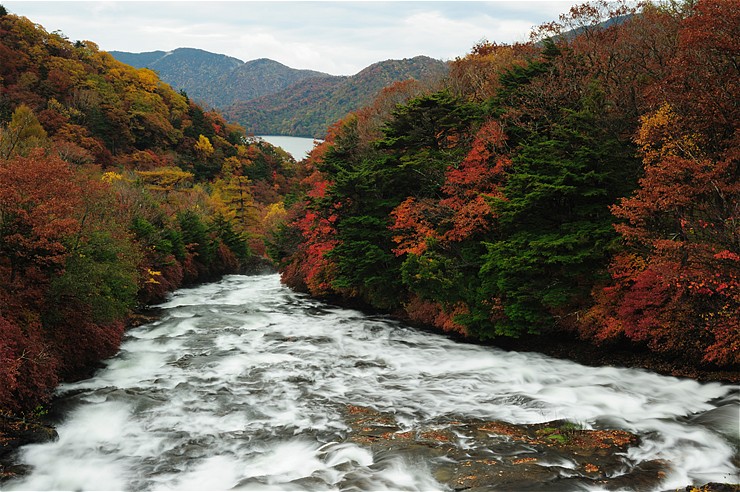 f0222161_12573069.jpg