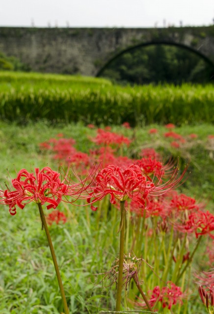 b0131167_21462726.jpg