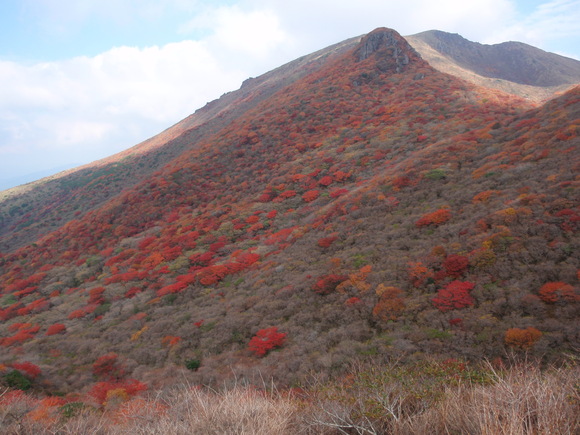 c0042869_5165252.jpg