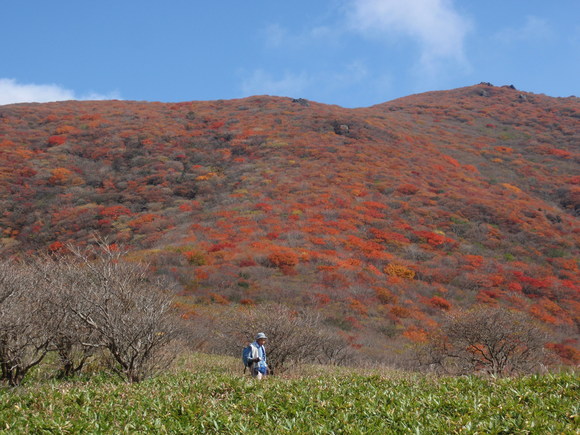 c0042869_59322.jpg