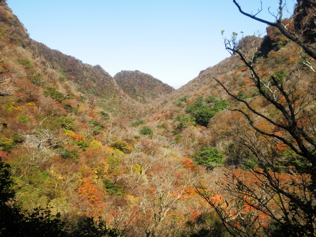 c0042869_8282836.jpg