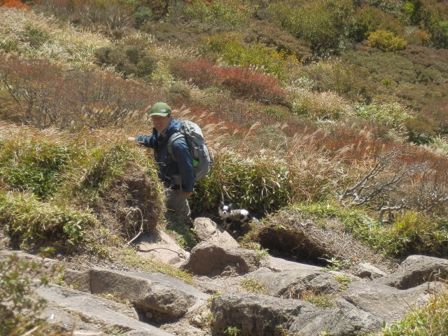 c0042869_8375354.jpg