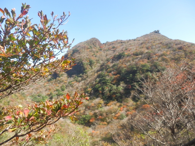 c0042869_8421937.jpg