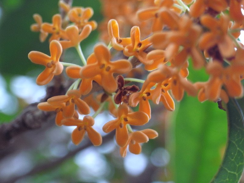 b0084270_1362051.jpg
