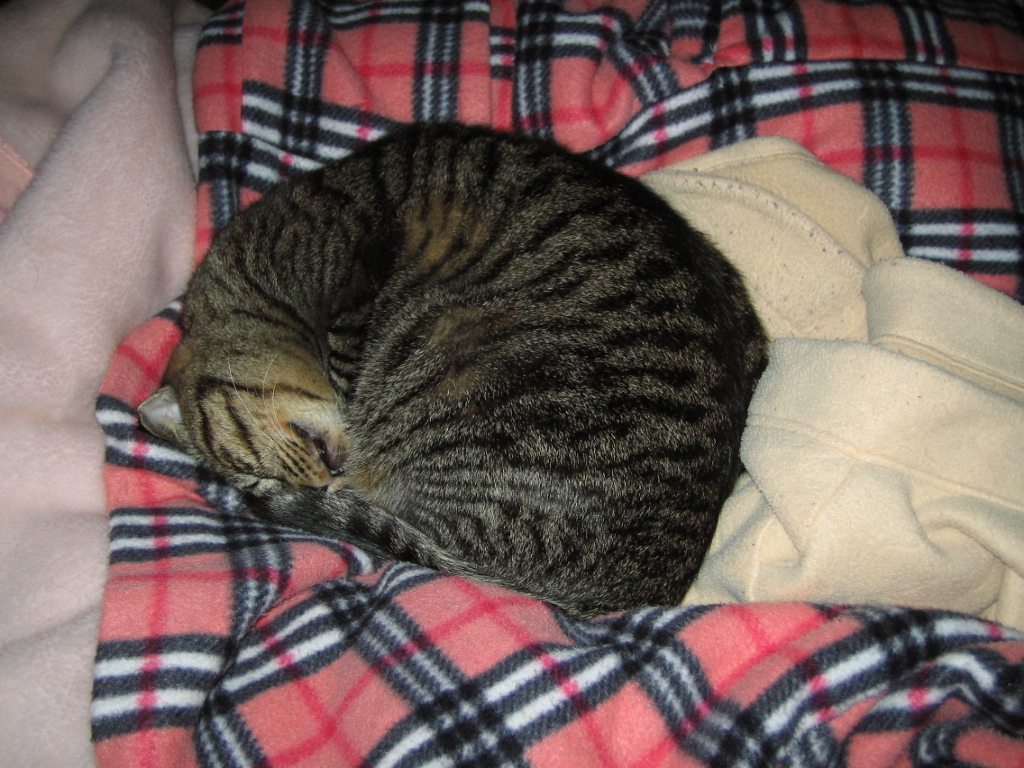 e0031572_1642798.jpg
