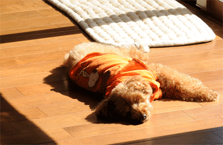 c0196673_18233910.gif