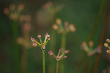 f0054677_8463355.jpg