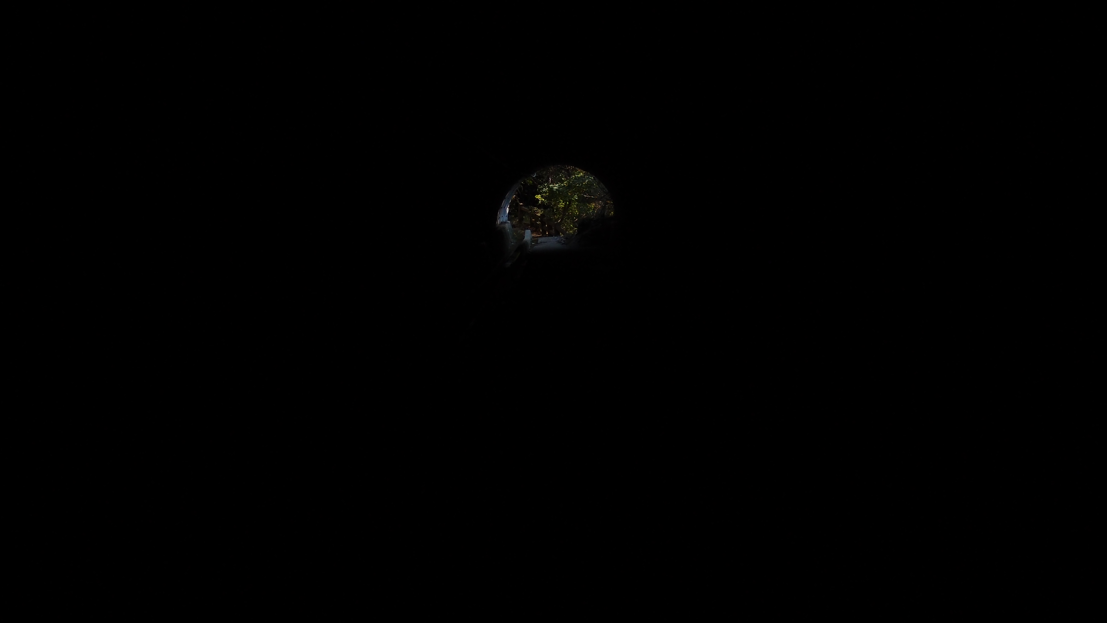 e0024081_19475535.jpg