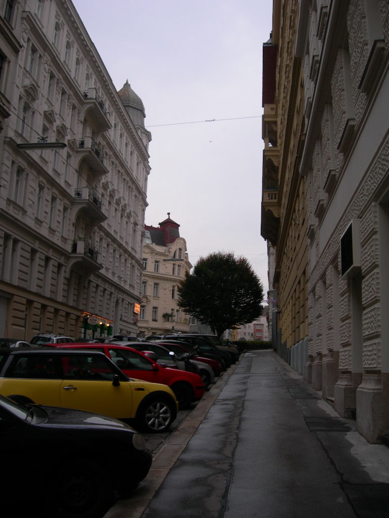 a0080183_34948.jpg