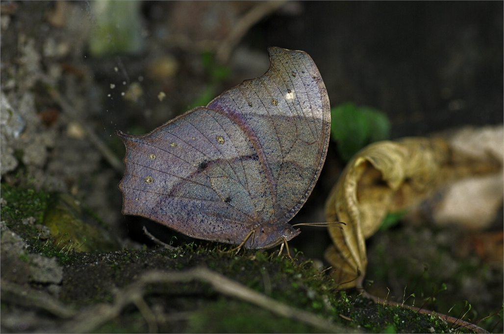 d0209988_20245651.jpg