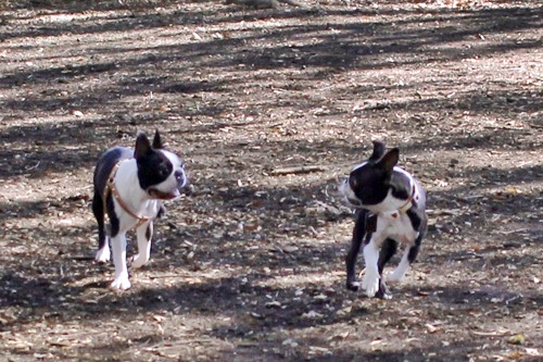 e0229992_20135887.jpg