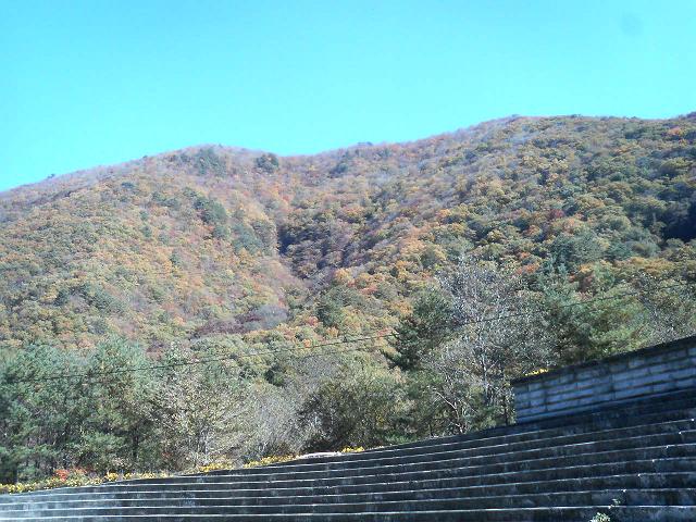 e0022495_21365637.jpg
