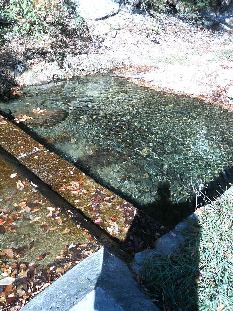 e0022495_21434098.jpg