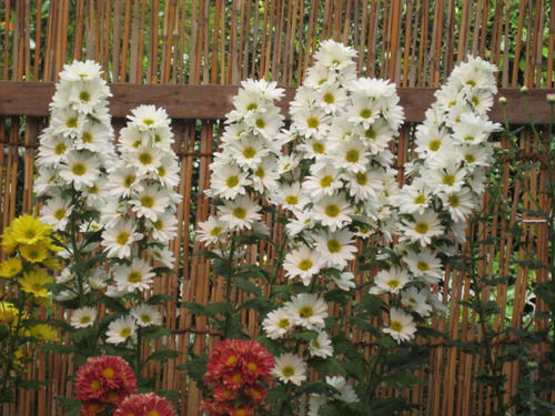 f0201297_22333431.jpg