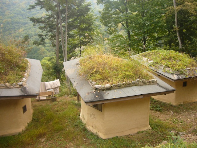 d0159198_1941754.jpg