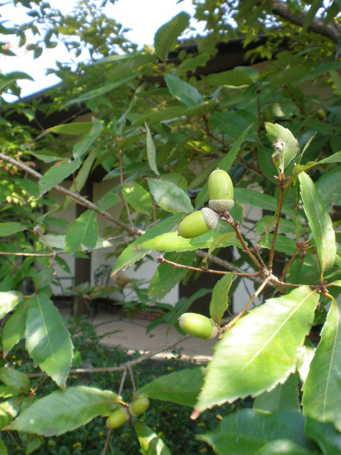 c0164401_0143383.jpg