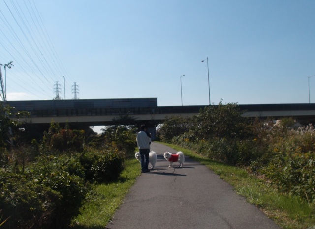 e0018604_20101555.jpg
