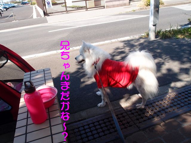 e0018604_20142378.jpg