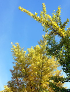 c0148705_19561100.jpg