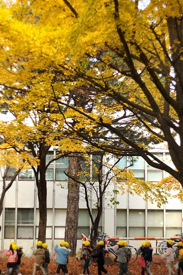 c0202705_1955038.jpg