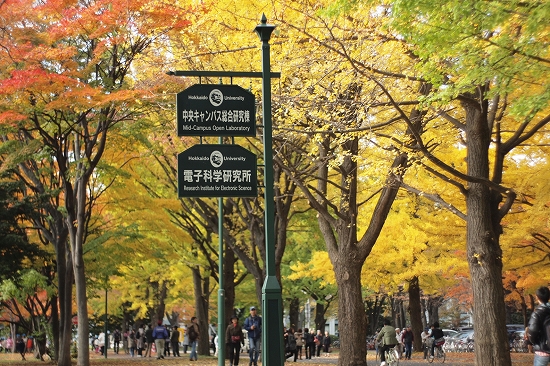 c0202705_196450.jpg