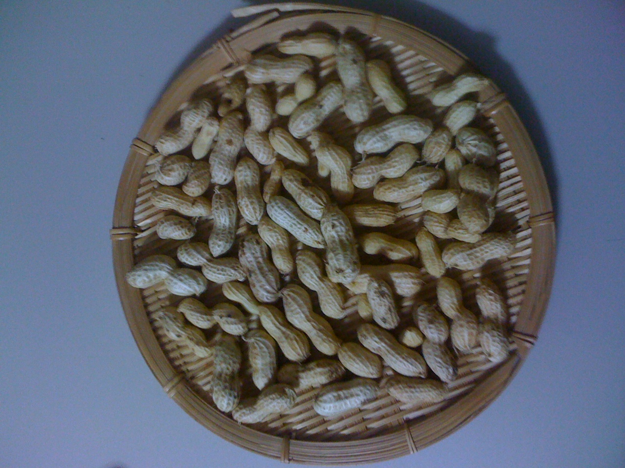 c0064706_0542277.jpg
