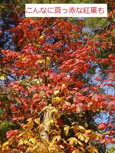 b0200310_8285215.jpg