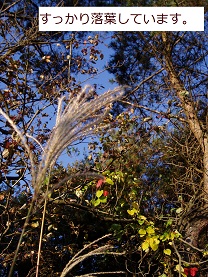 b0200310_8292450.jpg