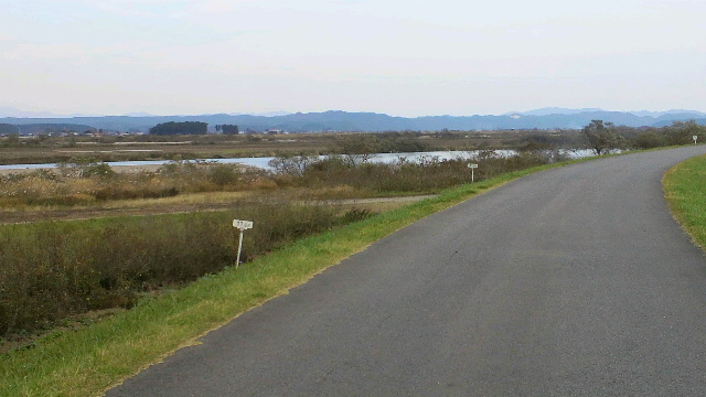 b0035611_19575252.jpg
