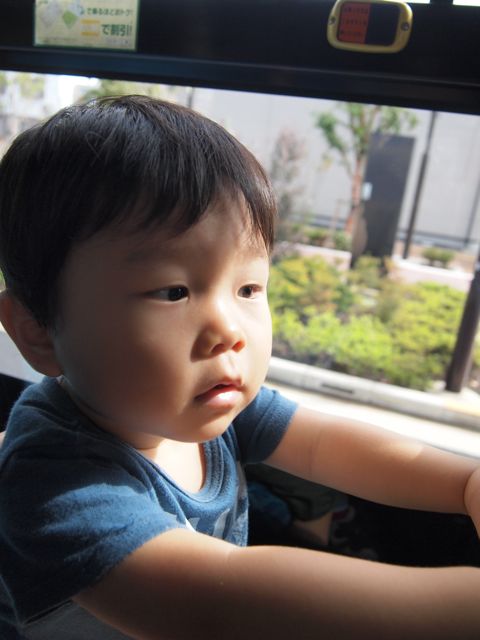 a0151615_027669.jpg