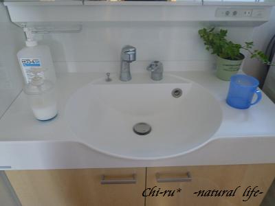 d0179417_179890.jpg