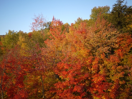 e0144717_323373.jpg