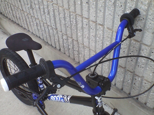 c0100318_17444785.jpg
