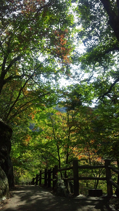 b0199924_13451295.jpg