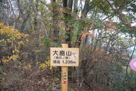d0156625_2024376.jpg