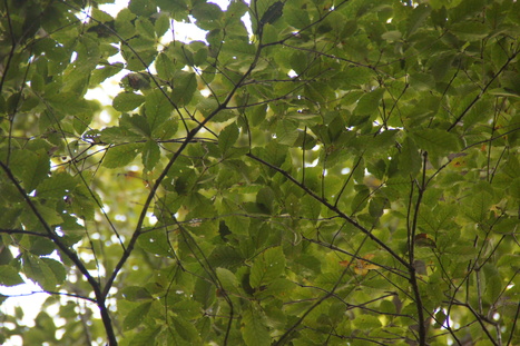 d0156625_20273951.jpg