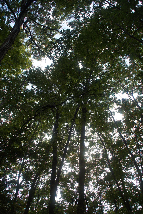 d0156625_202836.jpg
