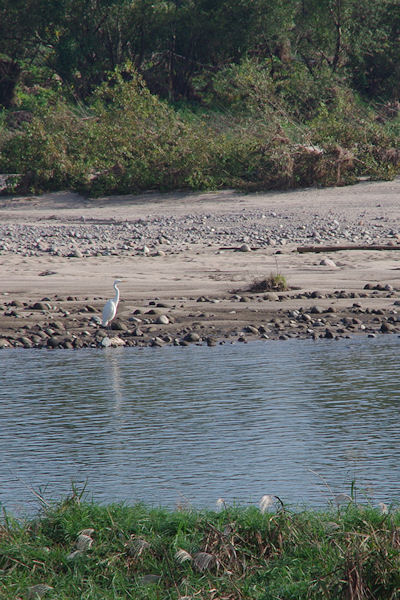 f0007926_11313262.jpg