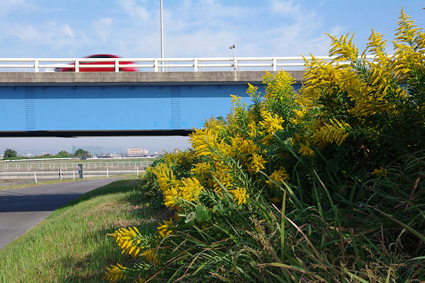 f0007926_11341123.jpg