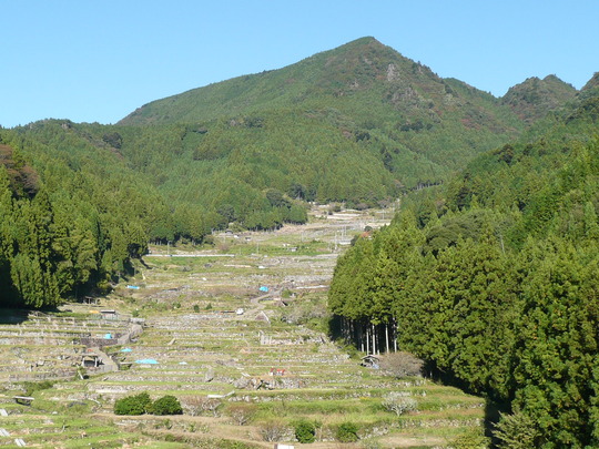 c0009528_2347622.jpg