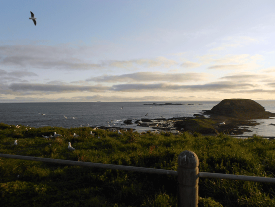 f0078132_3203463.gif