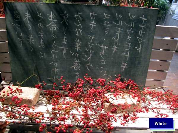 c0227134_173644.jpg