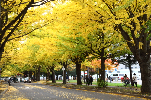 b0006537_21555489.jpg