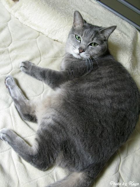 a0117440_221748100.jpg