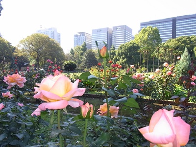 日比谷公園
