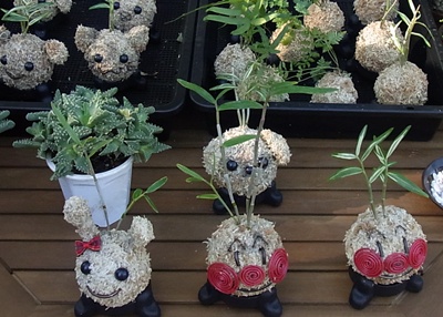 アンパンマン苔玉