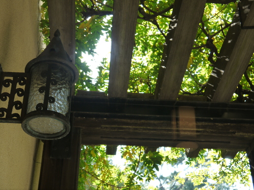 e0227942_20252099.jpg