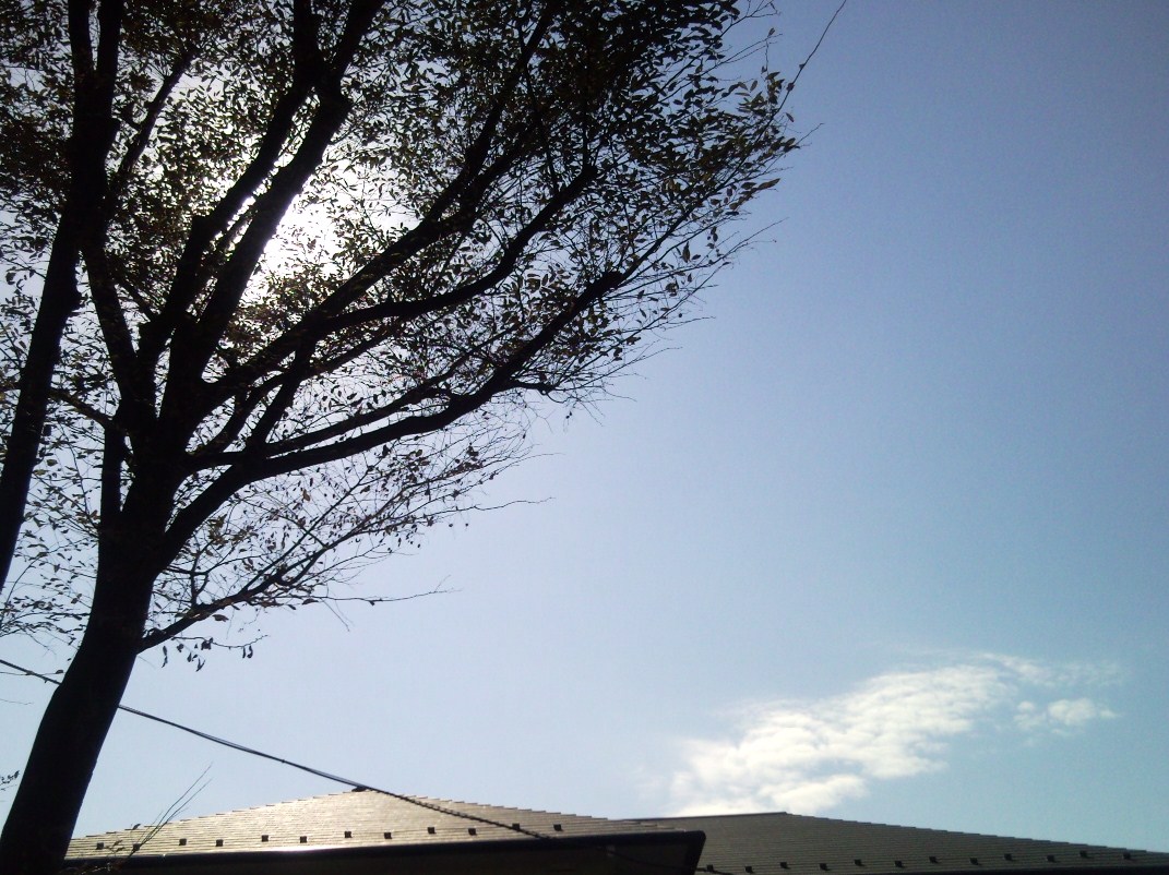 e0150843_19204140.jpg