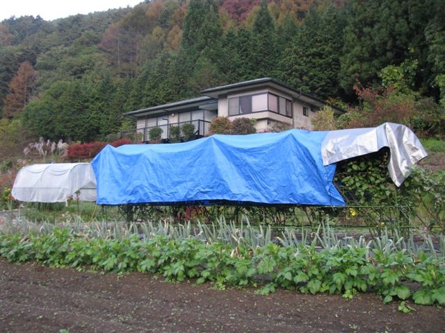 f0151044_893786.jpg